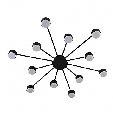 Потолочная люстра Torina 8344/12C