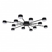 Потолочная люстра Torina 8344/12C