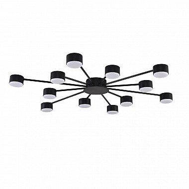 Потолочная люстра Torina 8344/12C