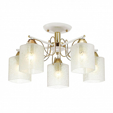 Потолочная люстра Lumion Opicus 3508/5C