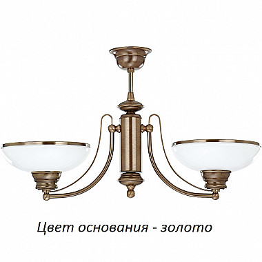 Потолочная люстра N N-ZW-2(Z)