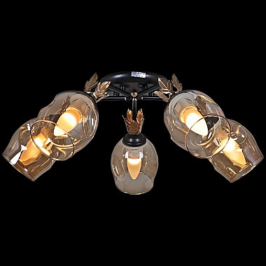 Потолочная люстра 81701-0.3-05