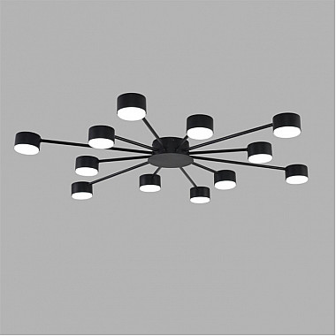 Потолочная люстра Torina 8344/12C