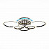 Потолочная светодиодная люстра Evoled Cerina SLE500582-06RGB