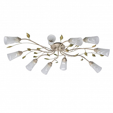 Потолочная люстра MW-Light Восторг 242015510