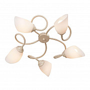 Потолочная люстра Vitaluce V3189/5PL