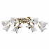 Потолочная люстра MW-Light Восторг 242017508