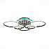 Потолочная светодиодная люстра Evoled Cerina SLE500582-06RGB