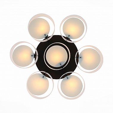 Потолочная люстра Evoluce Foresta SL483.402.07