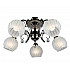 Потолочная люстра Omnilux OML-31807-05