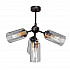 Потолочная люстра Vitaluce V4295-1/4PL