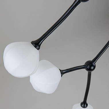 Потолочная люстра Favourite Suri 2688-9P