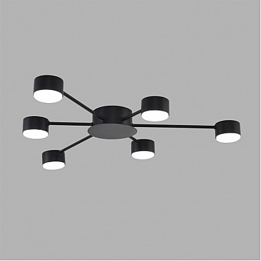 Потолочная люстра Torina 8344/6C