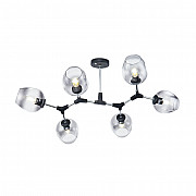 Потолочная люстра Desi FR5006CL-06B