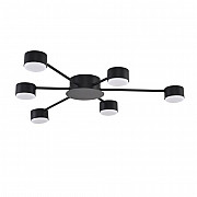 Потолочная люстра Torina 8344/6C