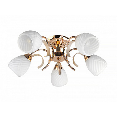 Потолочная люстра Lenore TL3530X-05FG