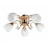 Потолочная люстра Lenore TL3530X-05FG
