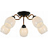 Потолочная люстра IL8193-5COU-79 BK GD