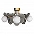 Потолочная люстра Loft IT Matisse 10008/6C Grey