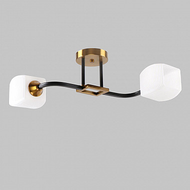 Потолочная люстра MD.52009-2-S-BK+GAB