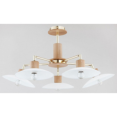 Потолочная люстра Zoa 24715