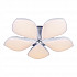 Потолочная светодиодная люстра Escada 10235/5LED (85W)