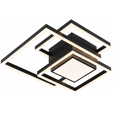 Потолочная люстра Twins 10242/4LED