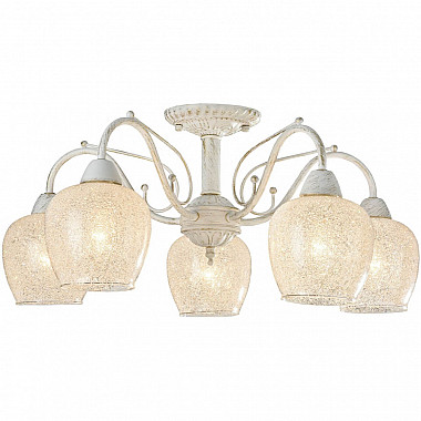 Потолочная люстра Andri FR2751-PL-05-WG