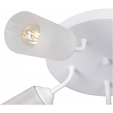 Потолочная люстра V3762-0/5PL