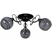 Потолочная люстра 22115-0.3-03 BK+CH