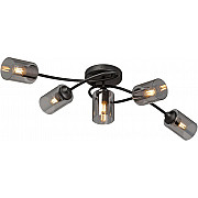 Потолочная люстра V2048-1/5PL