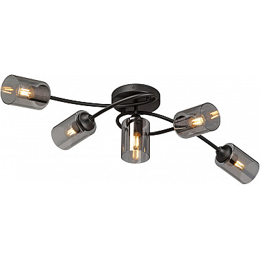 Потолочная люстра V2048-1/5PL