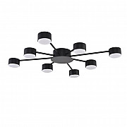 Потолочная люстра Torina 8344/8C