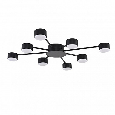 Потолочная люстра Torina 8344/8C