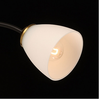 Потолочная люстра Нежность 676016903