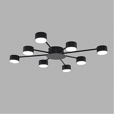 Потолочная люстра Torina 8344/8C