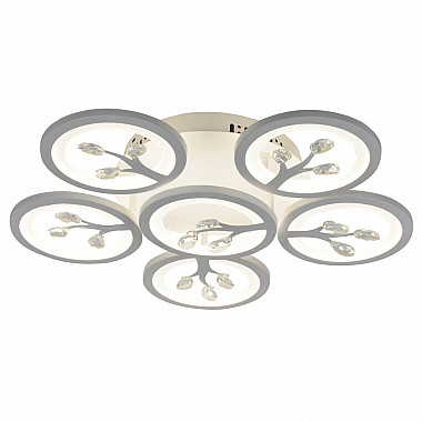 Потолочная светодиодная люстра F-Promo Ramus 2390-6U