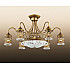 Потолочная люстра Odeon Light Salona 2641/9C
