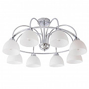 Потолочная люстра Arte Lamp A6057PL-8CC