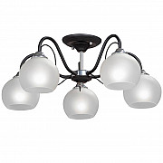 Потолочная люстра Vitaluce V3948-1/5PL