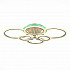 Потолочная светодиодная люстра Evoled Cerina SLE500592-06RGB