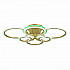 Потолочная светодиодная люстра Evoled Cerina SLE500522-06RGB