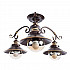 Потолочная люстра Arte Lamp 7 A4577PL-3CK