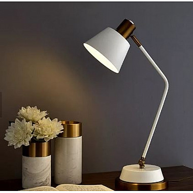 Интерьерная настольная лампа TL2N 000059613