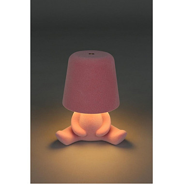 Интерьерная настольная лампа Olka APL.677.14.01