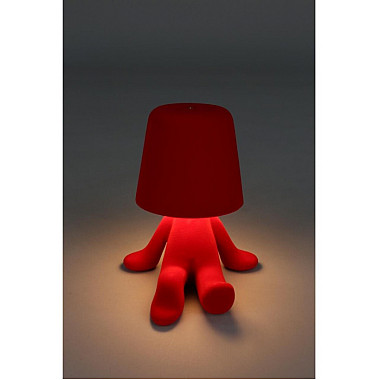 Интерьерная настольная лампа Olka APL.677.24.01