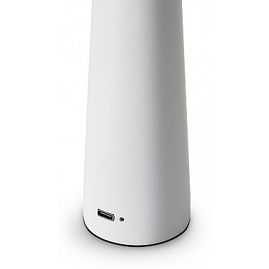 Интерьерная настольная лампа Clam FR6188TL-L3W