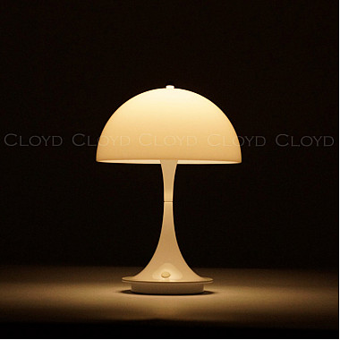 Интерьерная настольная лампа Aktuell 30129