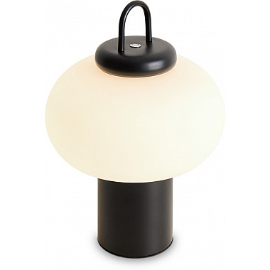 Интерьерная настольная лампа Take FR6175TL-L10B