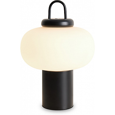 Интерьерная настольная лампа Take FR6175TL-L10B